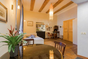Vintage Old Town Apartments Vilnius